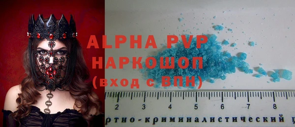 сатива Осташков