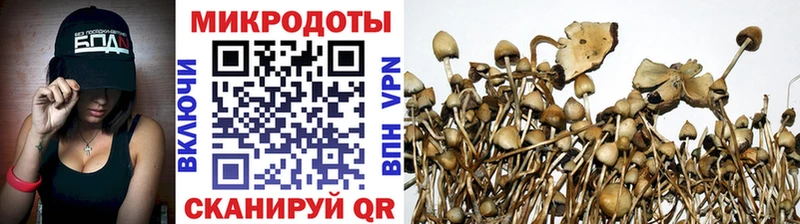кракен вход Азнакаево Галлюциногенные грибы Magic Shrooms